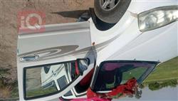 جريت وول وينجل 5